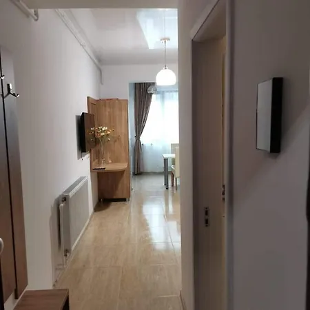 Carolina Studio